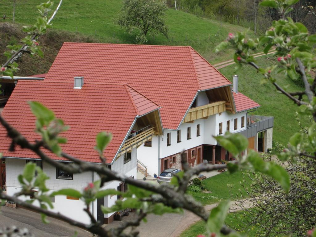 Stinneshof Oberharmersbach Bagian luar foto