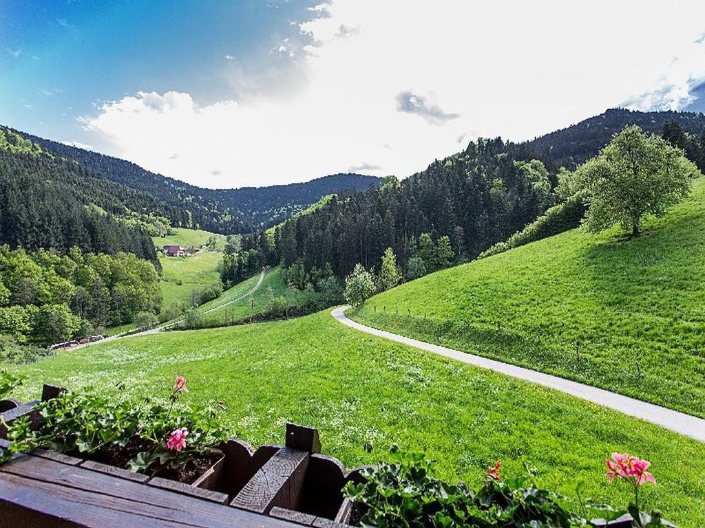 Stinneshof Oberharmersbach Bagian luar foto