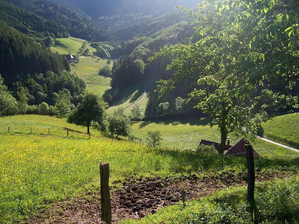 Stinneshof Oberharmersbach Bagian luar foto