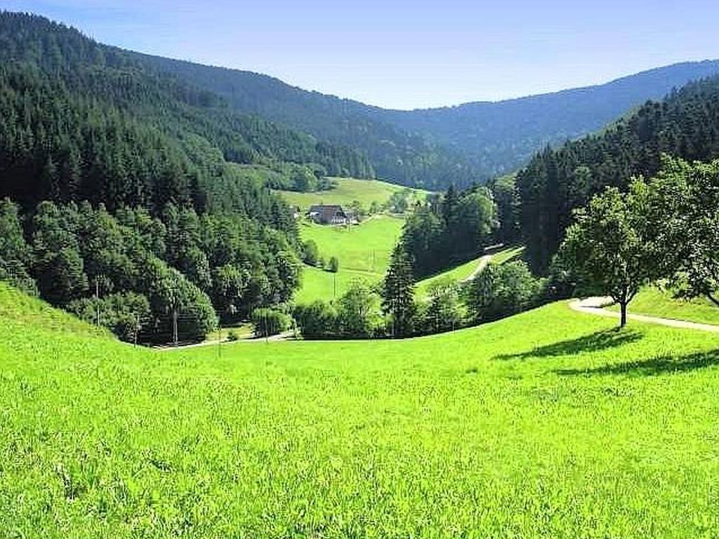 Stinneshof Oberharmersbach Bagian luar foto