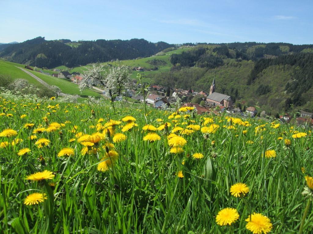 Stinneshof Oberharmersbach Bagian luar foto