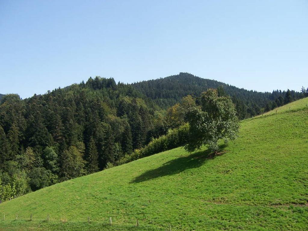 Stinneshof Oberharmersbach Bagian luar foto