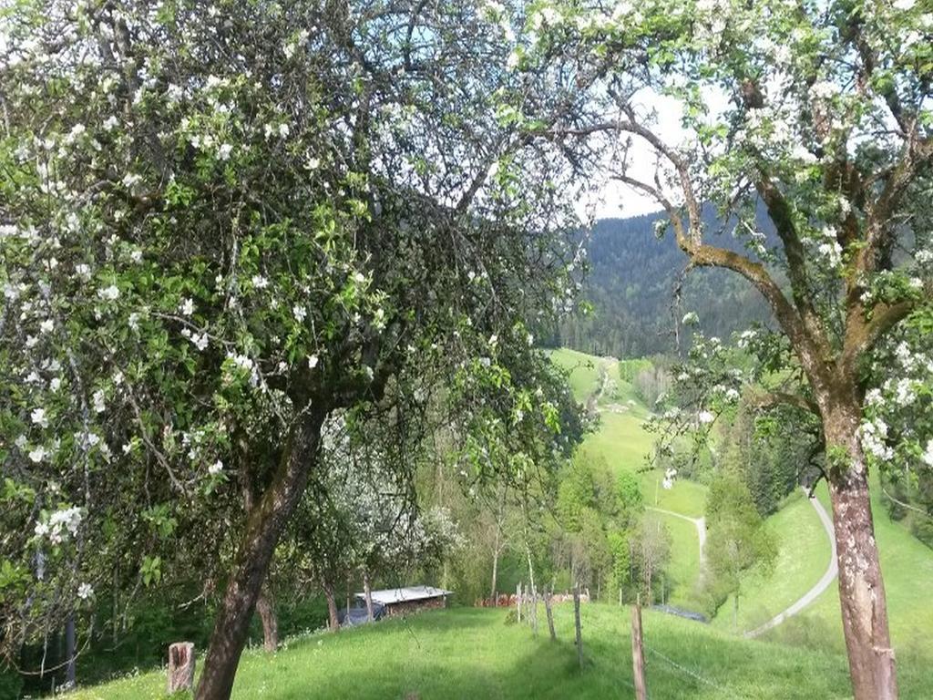 Stinneshof Oberharmersbach Bagian luar foto