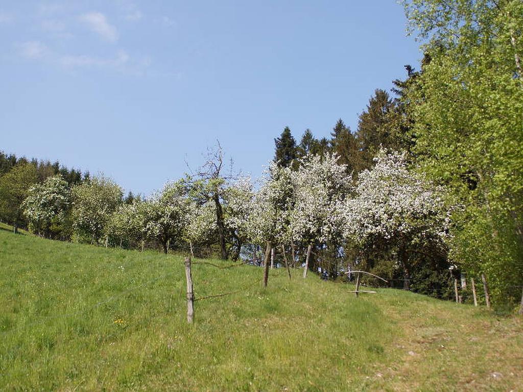 Stinneshof Oberharmersbach Bagian luar foto