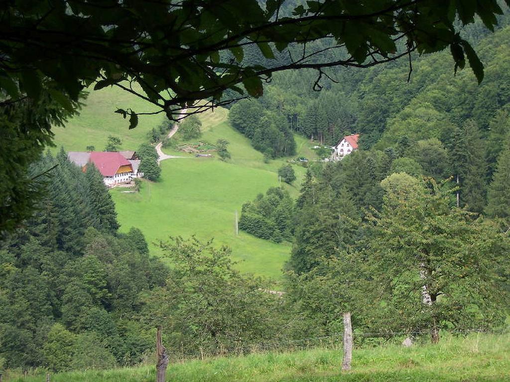 Stinneshof Oberharmersbach Bagian luar foto