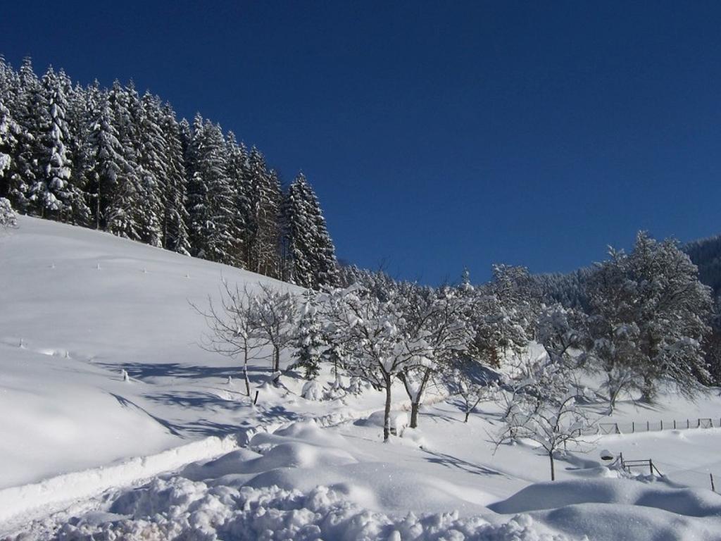 Stinneshof Oberharmersbach Bagian luar foto