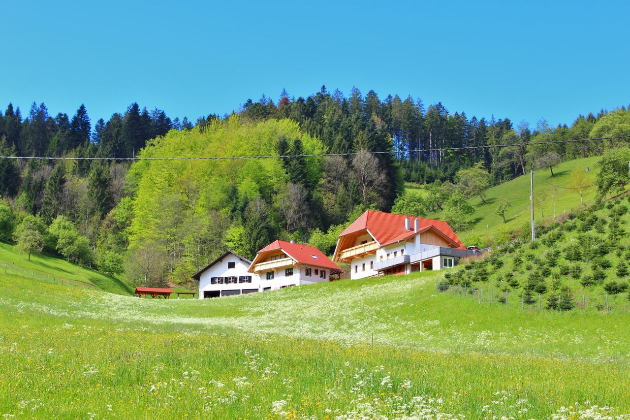 Stinneshof Oberharmersbach Bagian luar foto